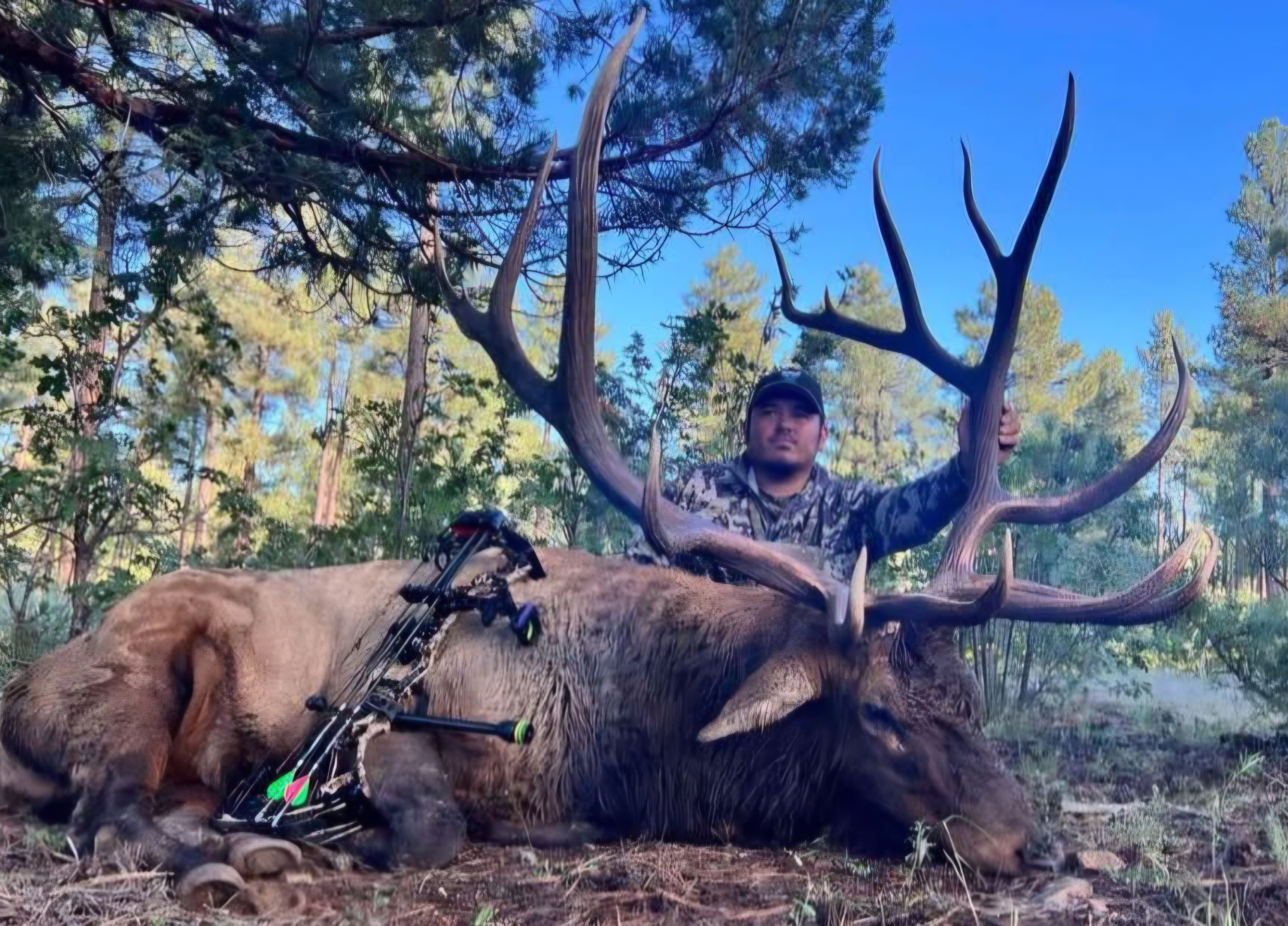 Early Archery Success