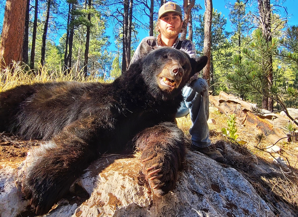 Arizona Black Bear Hunting