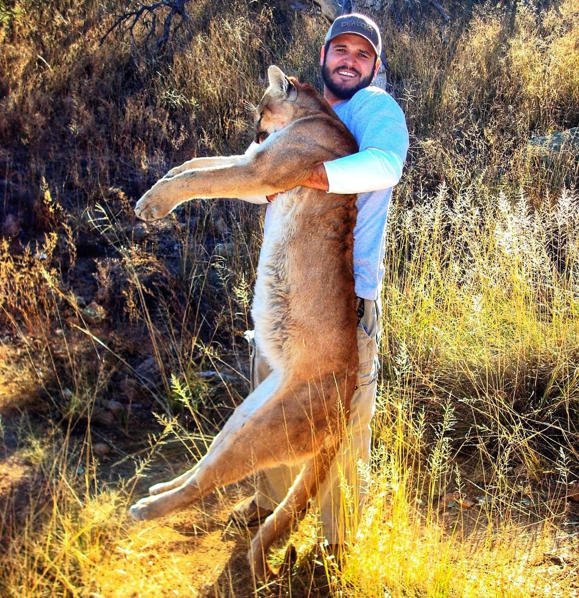 Arizona Mountain Lion Hunts